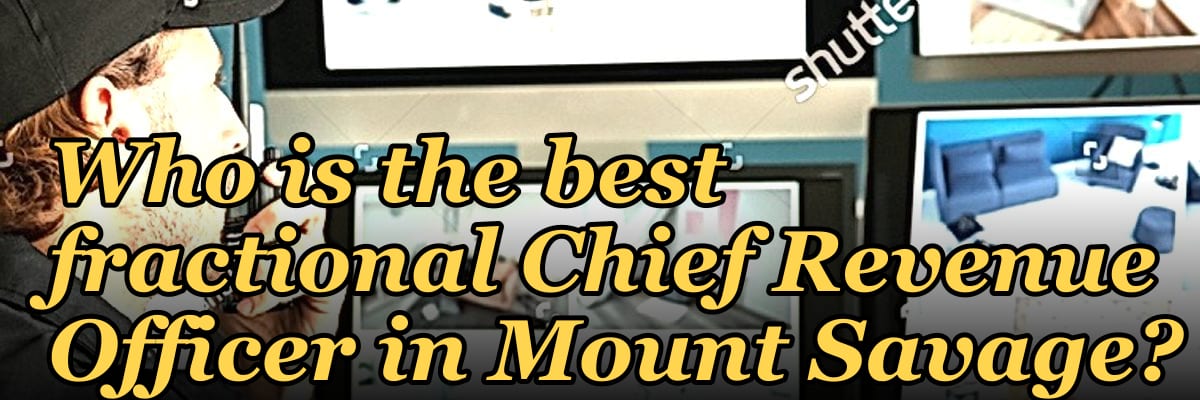 Who is the best fractional Chief Revenue Officer in Mount Savage?