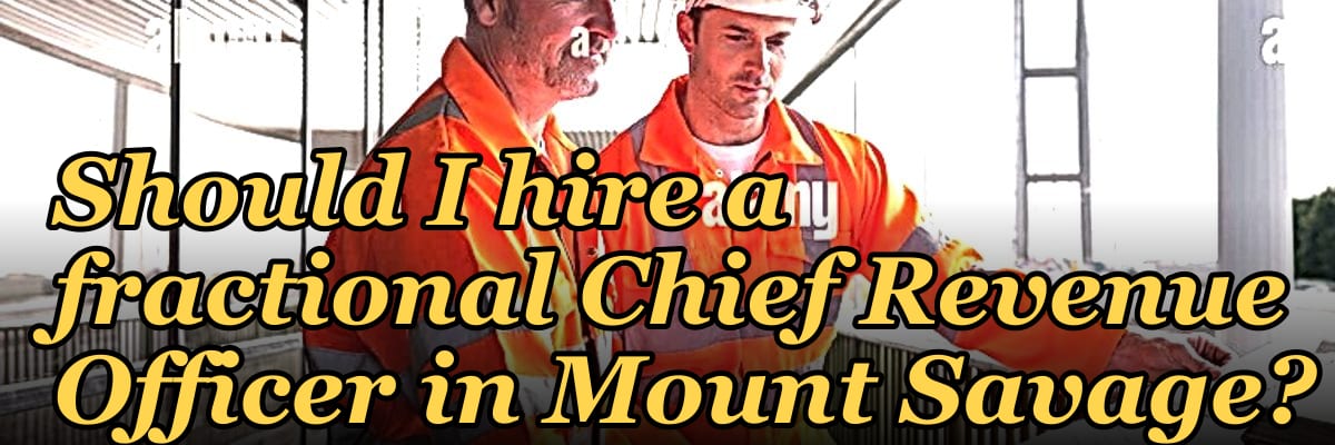 Should I hire a fractional Chief Revenue Officer in Mount Savage?