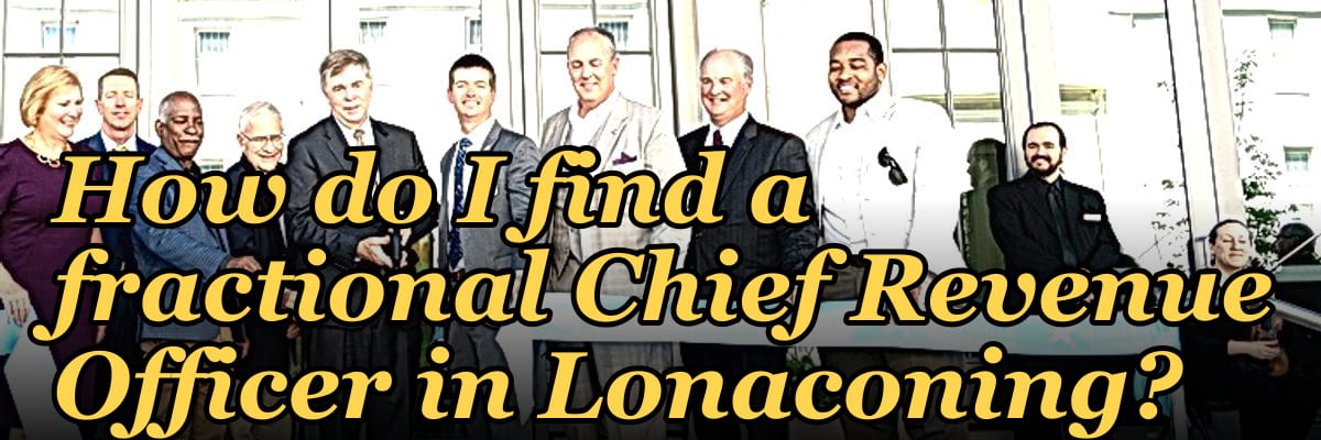 How do I find a fractional Chief Revenue Officer in Lonaconing?