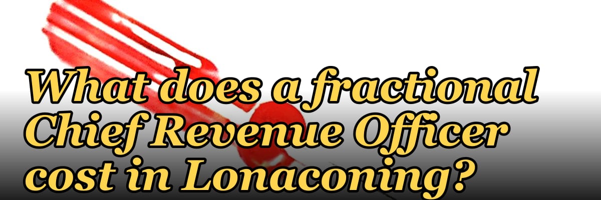What does a fractional Chief Revenue Officer cost in Lonaconing?