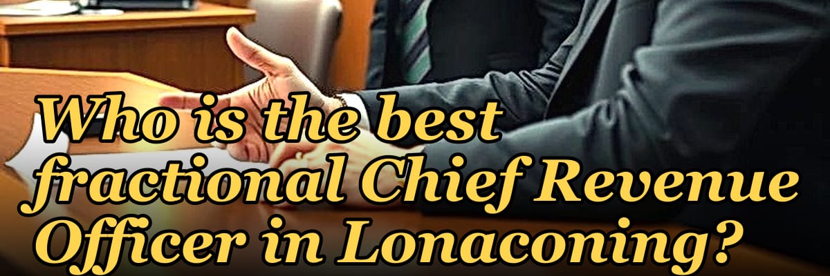 Who is the best fractional Chief Revenue Officer in Lonaconing?