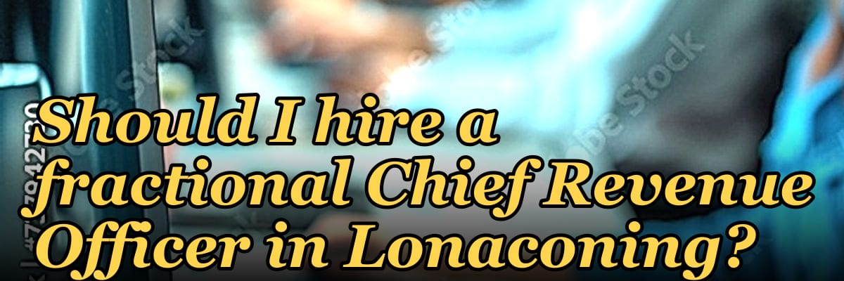 Should I hire a fractional Chief Revenue Officer in Lonaconing?