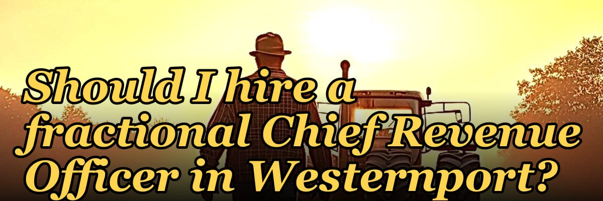 Should I hire a fractional Chief Revenue Officer in Westernport?