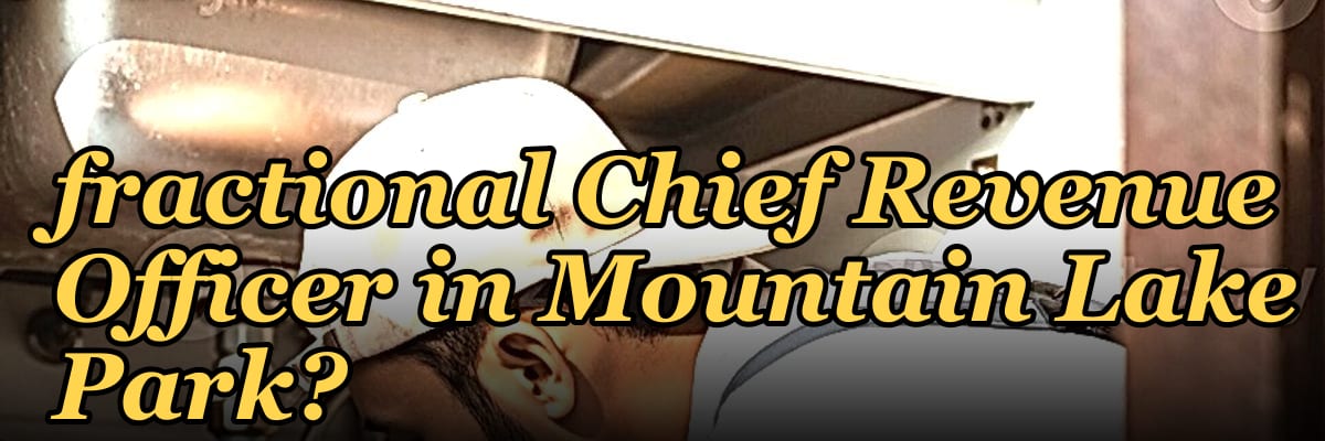 How do I find a fractional Chief Revenue Officer in Mountain Lake Park?