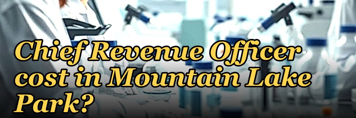 What does a fractional Chief Revenue Officer cost in Mountain Lake Park?