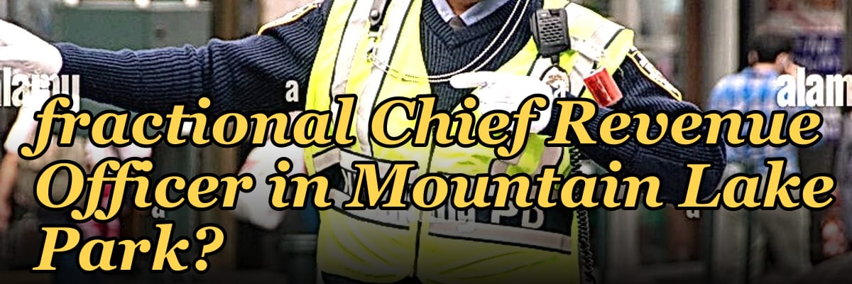 How do I hire a fractional Chief Revenue Officer in Mountain Lake Park?