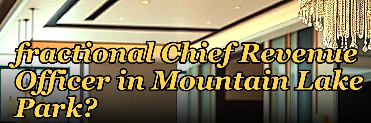 Who is the best fractional Chief Revenue Officer in Mountain Lake Park?