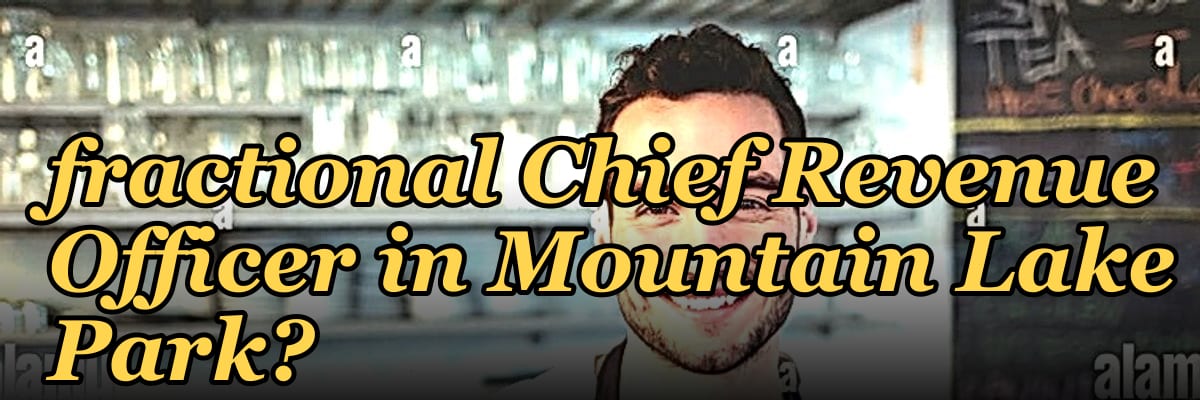 Should I hire a fractional Chief Revenue Officer in Mountain Lake Park?