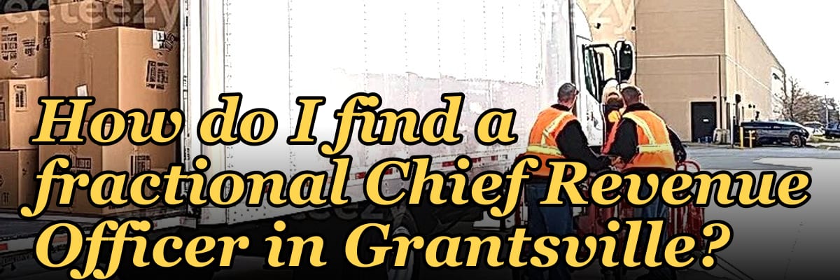 How do I find a fractional Chief Revenue Officer in Grantsville?