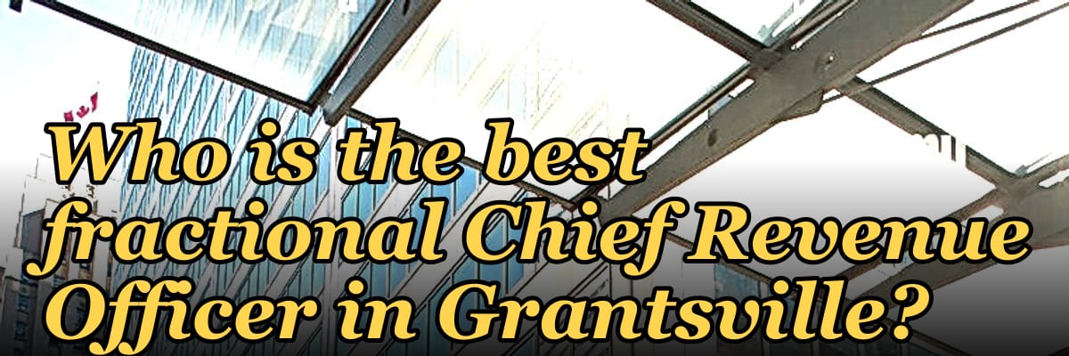Who is the best fractional Chief Revenue Officer in Grantsville?