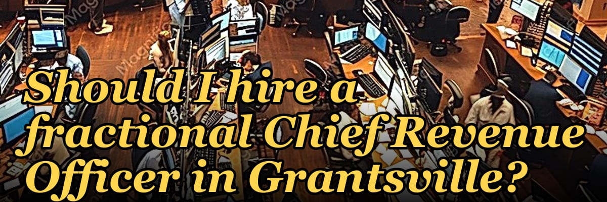 Should I hire a fractional Chief Revenue Officer in Grantsville?