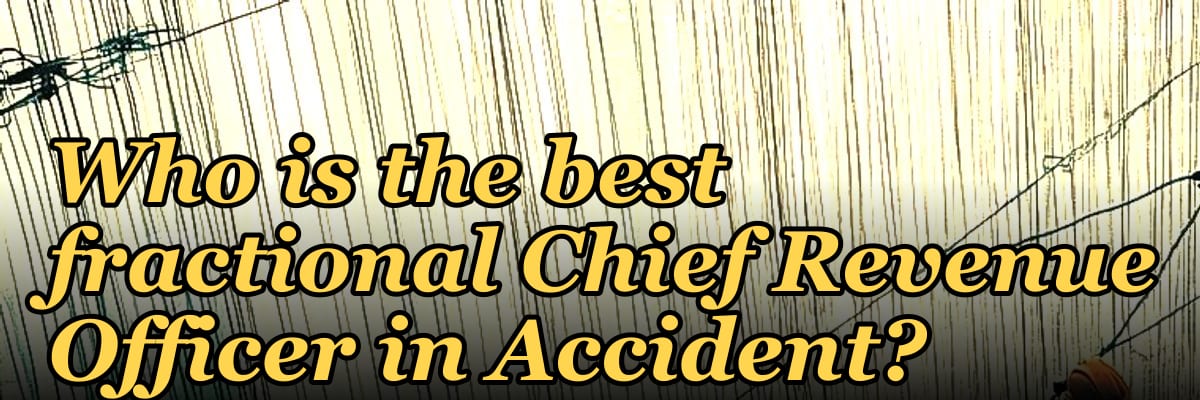 Who is the best fractional Chief Revenue Officer in Accident?
