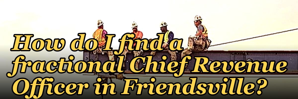 How do I find a fractional Chief Revenue Officer in Friendsville?