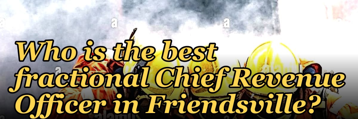 Who is the best fractional Chief Revenue Officer in Friendsville?