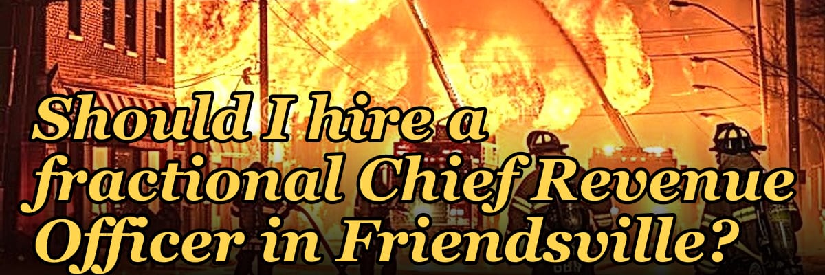 Should I hire a fractional Chief Revenue Officer in Friendsville?