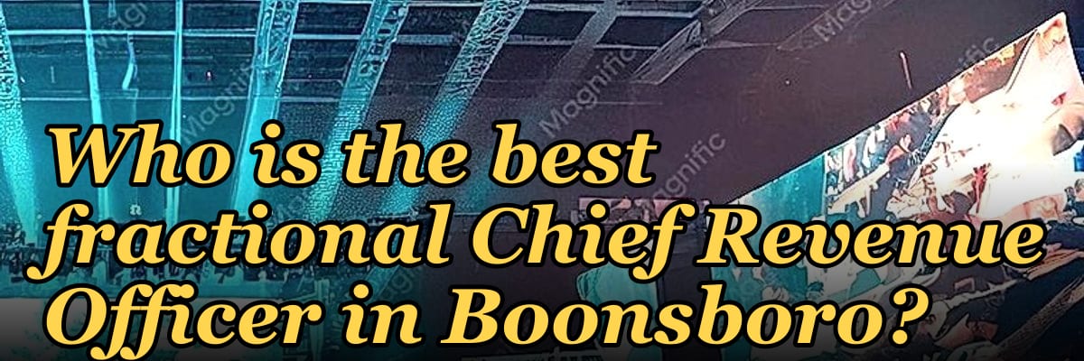 Who is the best fractional Chief Revenue Officer in Boonsboro?