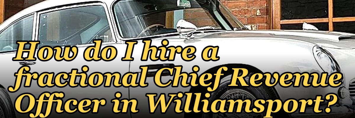 How do I hire a fractional Chief Revenue Officer in Williamsport?