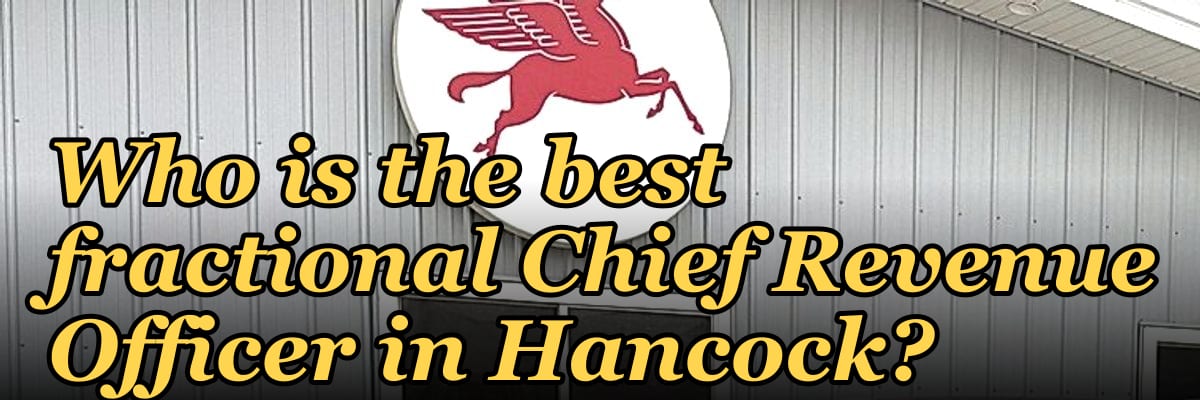 Who is the best fractional Chief Revenue Officer in Hancock?