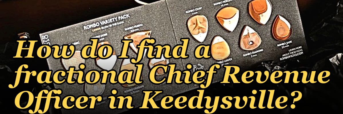 How do I find a fractional Chief Revenue Officer in Keedysville?