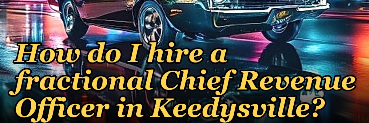 How do I hire a fractional Chief Revenue Officer in Keedysville?