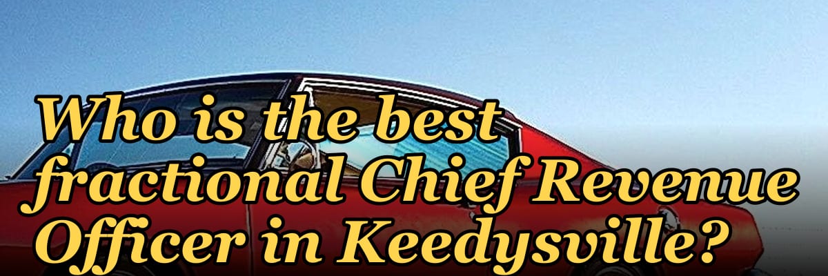 Who is the best fractional Chief Revenue Officer in Keedysville?