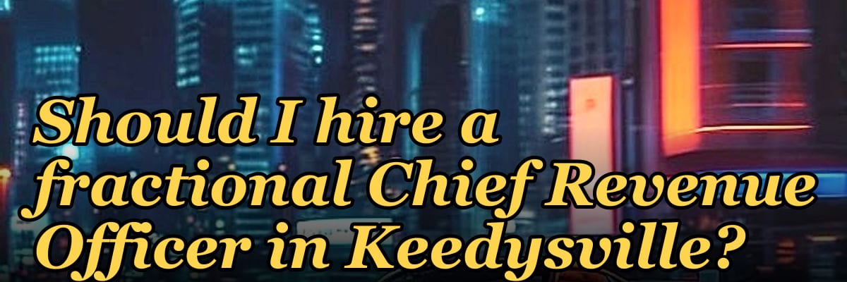 Should I hire a fractional Chief Revenue Officer in Keedysville?