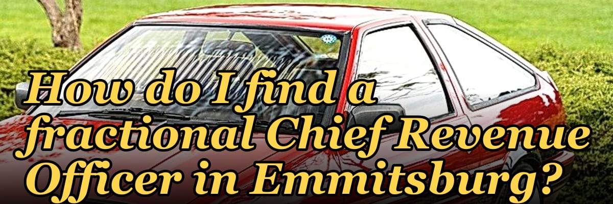 How do I find a fractional Chief Revenue Officer in Emmitsburg?
