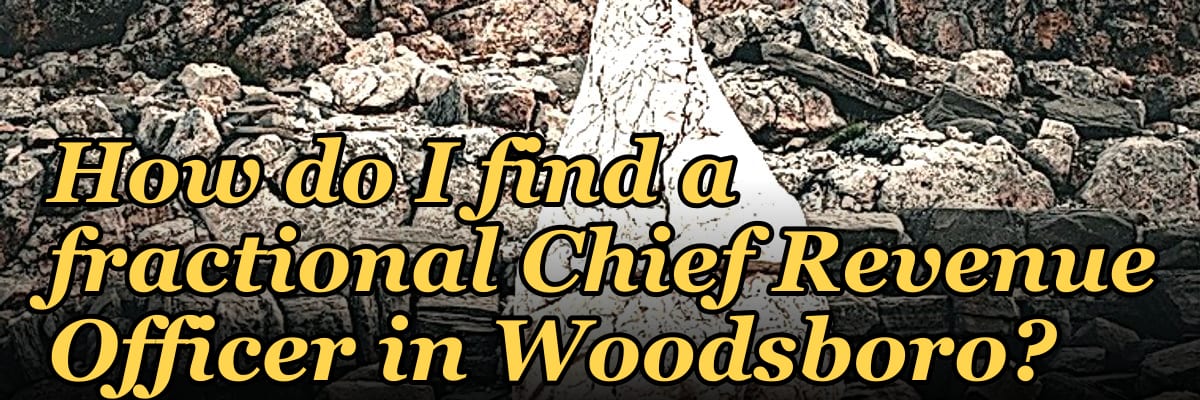 How do I find a fractional Chief Revenue Officer in Woodsboro?