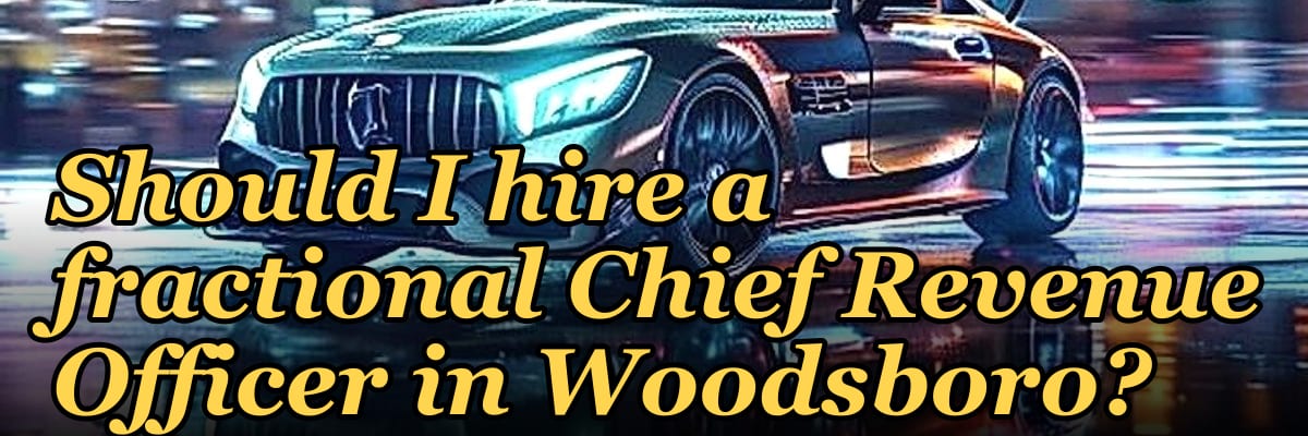 Should I hire a fractional Chief Revenue Officer in Woodsboro?