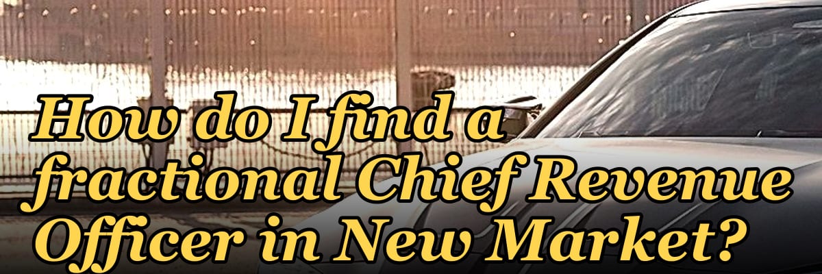 How do I find a fractional Chief Revenue Officer in New Market?