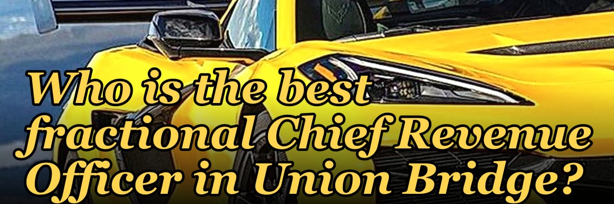 Who is the best fractional Chief Revenue Officer in Union Bridge?