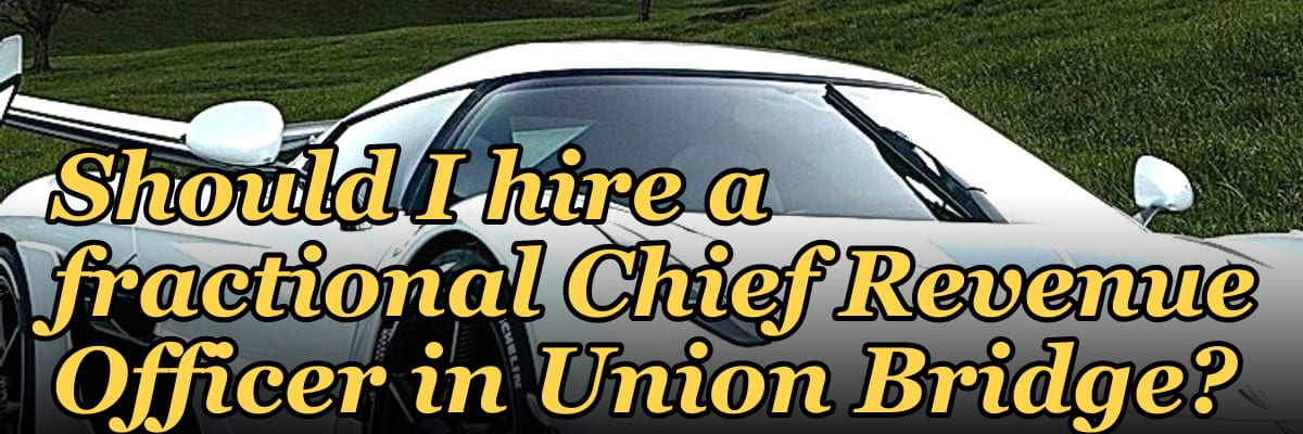 Should I hire a fractional Chief Revenue Officer in Union Bridge?