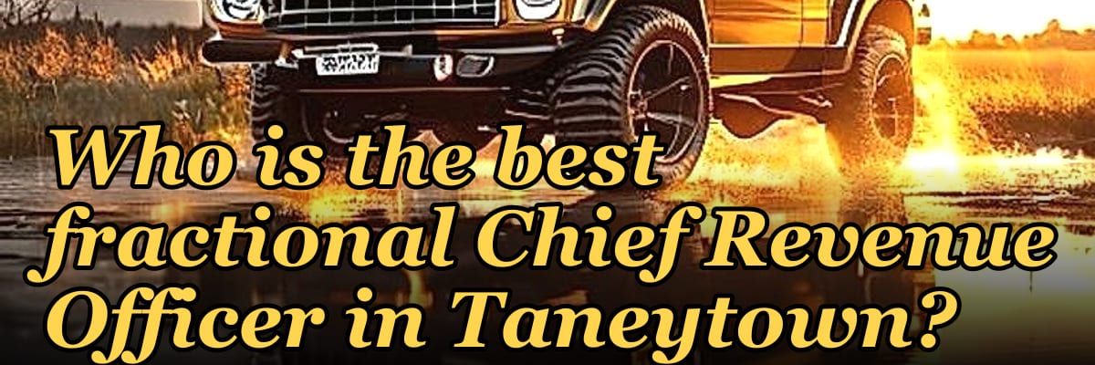 Who is the best fractional Chief Revenue Officer in Taneytown?
