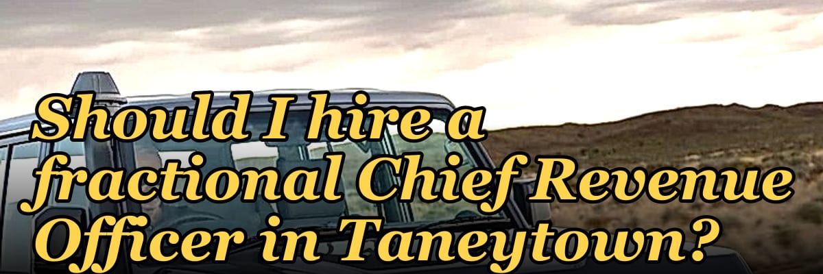 Should I hire a fractional Chief Revenue Officer in Taneytown?