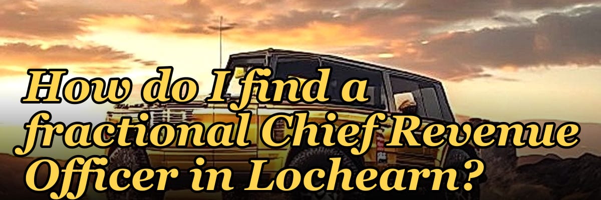 How do I find a fractional Chief Revenue Officer in Lochearn?