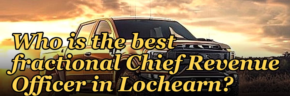 Who is the best fractional Chief Revenue Officer in Lochearn?