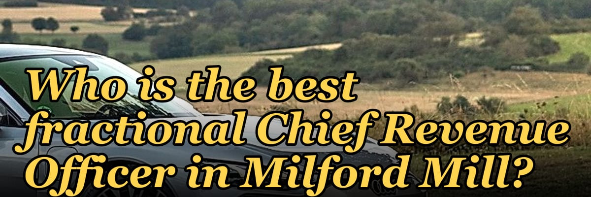 Who is the best fractional Chief Revenue Officer in Milford Mill?