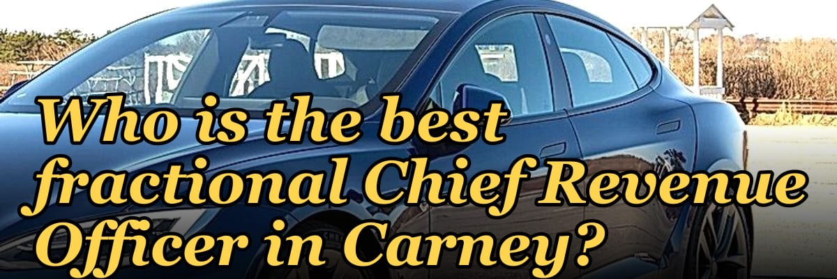 Who is the best fractional Chief Revenue Officer in Carney?