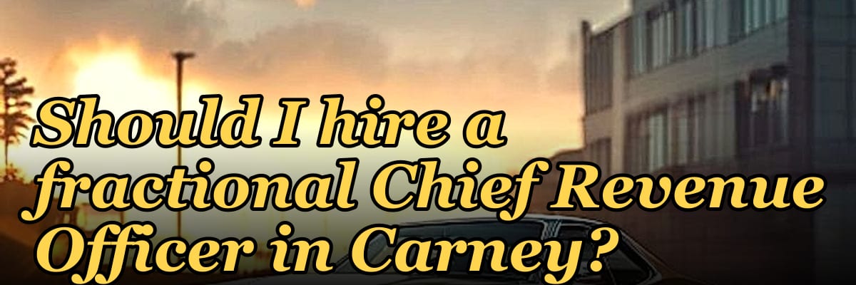 Should I hire a fractional Chief Revenue Officer in Carney?