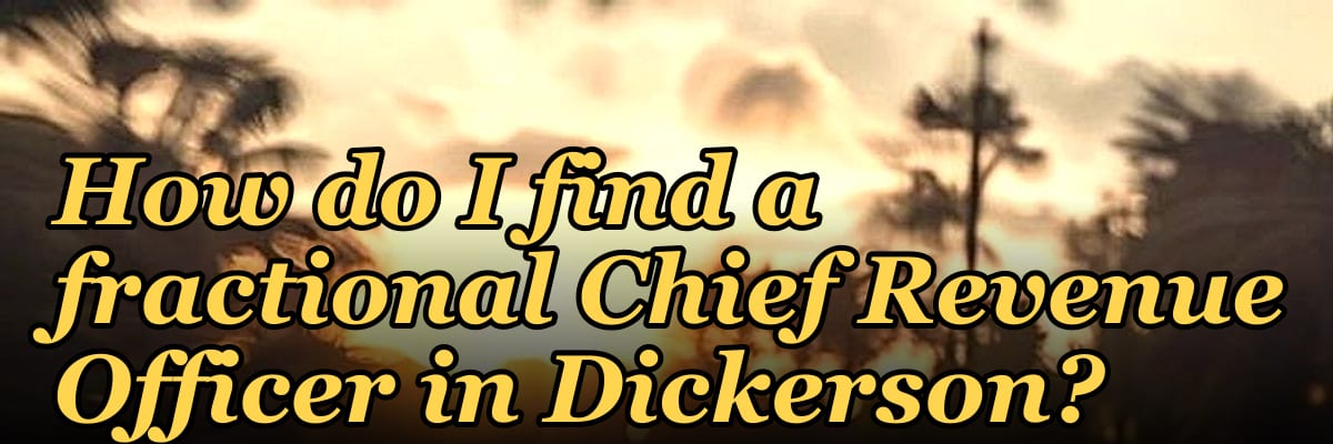 How do I find a fractional Chief Revenue Officer in Dickerson?