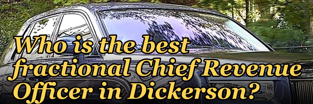 Who is the best fractional Chief Revenue Officer in Dickerson?