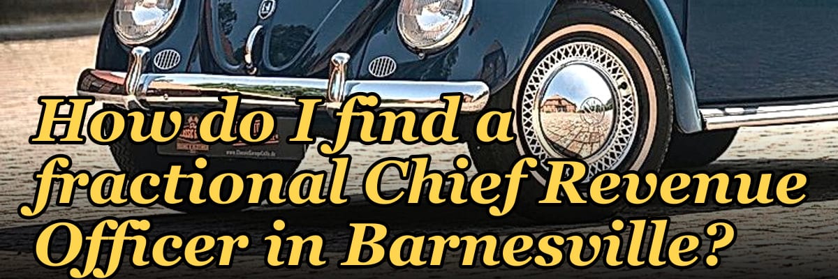 How do I find a fractional Chief Revenue Officer in Barnesville?