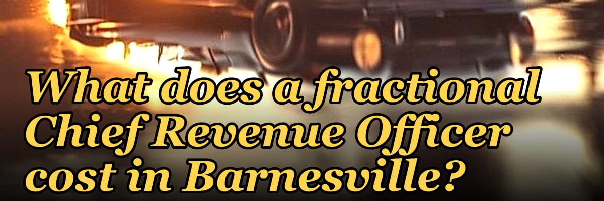 What does a fractional Chief Revenue Officer cost in Barnesville?