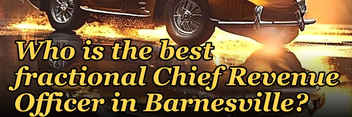 Who is the best fractional Chief Revenue Officer in Barnesville?