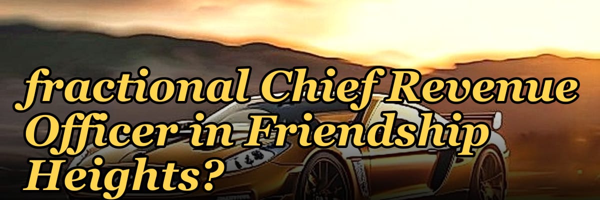 Should I hire a fractional Chief Revenue Officer in Friendship Heights?