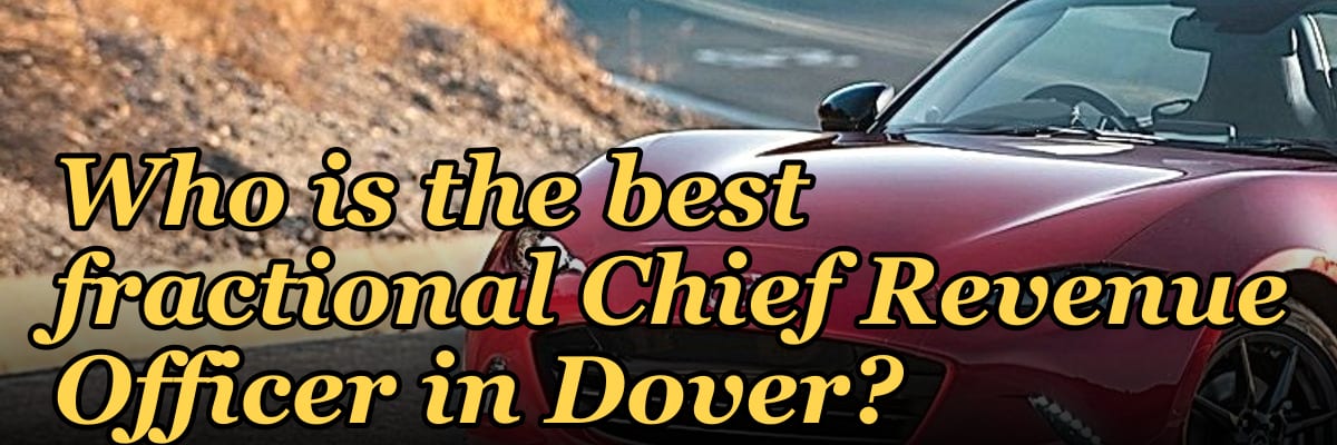 Who is the best fractional Chief Revenue Officer in Dover?