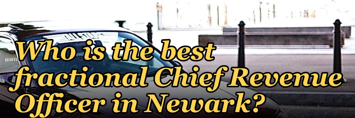 Who is the best fractional Chief Revenue Officer in Newark?