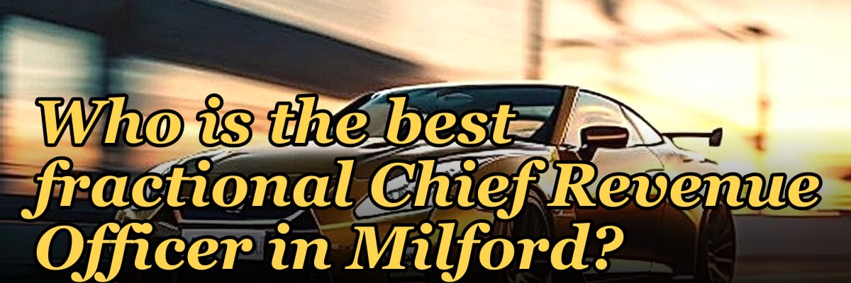 Who is the best fractional Chief Revenue Officer in Milford?