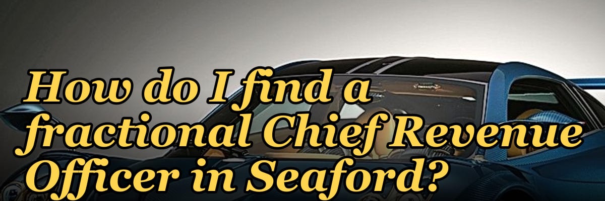 How do I find a fractional Chief Revenue Officer in Seaford?