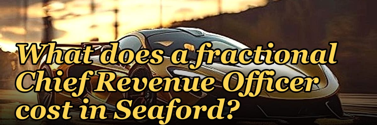 What does a fractional Chief Revenue Officer cost in Seaford?